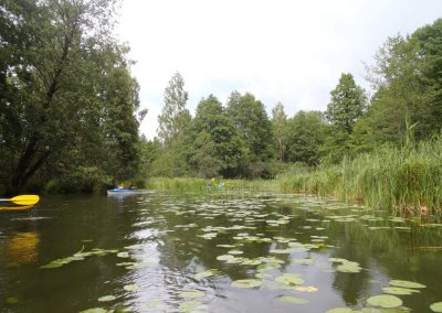 krutynia_in_masuren_69_20130304_1102507395